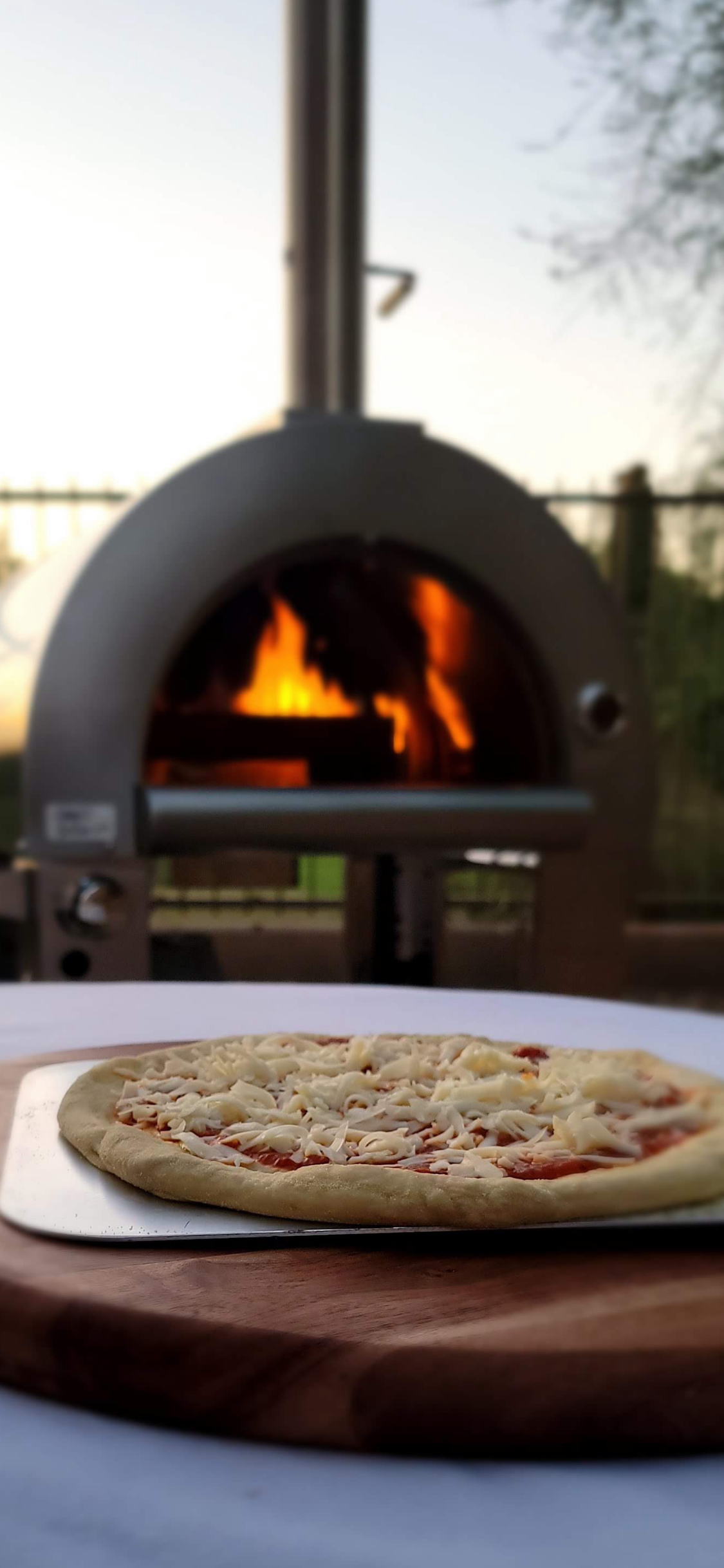 Kokomo 32" Dual Fuel Gas or Wood Fired Stainless Steel Pizza Oven